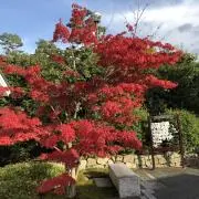 ハンドメイド　防水商品販売の画像
