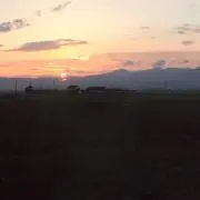 ふく…断捨離中の画像