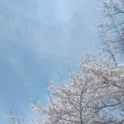 Lilの画像