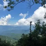 なおの画像