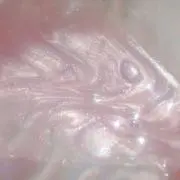 ♡の画像