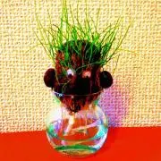 みーさんの画像