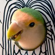 ひろもかの画像