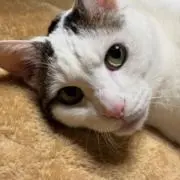 おけい★プロフ必読★断捨離中