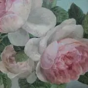 ゆみ乃の画像