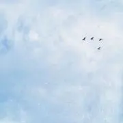 qinuco.の画像