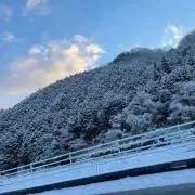 くらげ