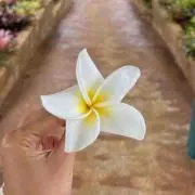 ★aym★の画像