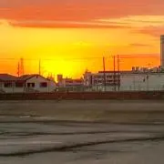 loozの画像