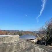 revealの画像