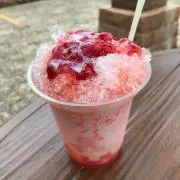 ポロンの画像