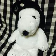 kumaの画像