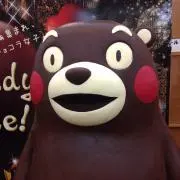 シエスタ6月7日〜7月1日発送✖️の画像
