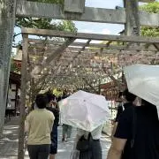 あーちゃんの画像