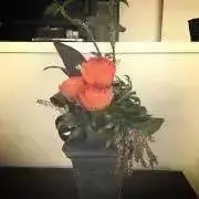 さりとこの画像