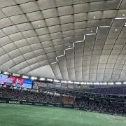 せいやの画像