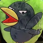 no