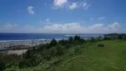 ニコの画像