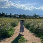 ほのの画像