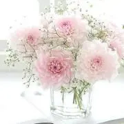 なこ☺︎即日発送の画像