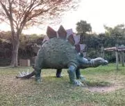 いるか
