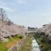 yuuchanの画像