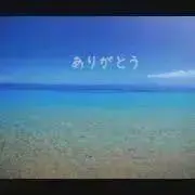 ココアの画像