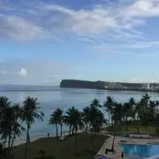 ラベンダー畑