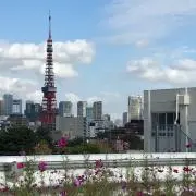 rikumama