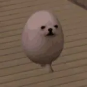 Mahiro