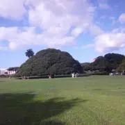 sss_87