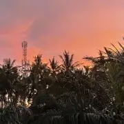 Samasamaの画像