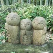 月の光の画像