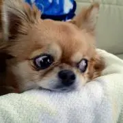 Yohの画像