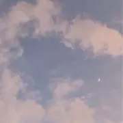 あんこ