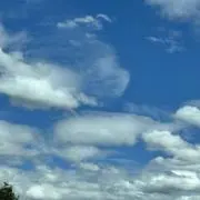 うめちゃん