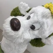 なわとびの画像