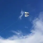 友太郎の画像