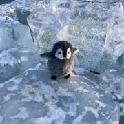 mの画像