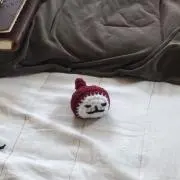 しゅがさとうの画像