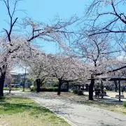 RIMAの画像