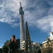きのこの画像