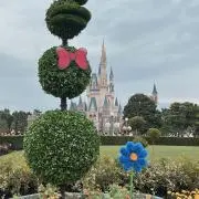 くろの画像