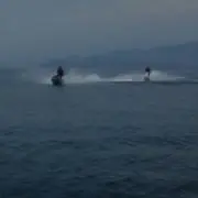 tjgjdj0852