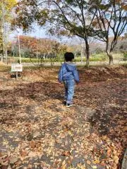 ソラ
