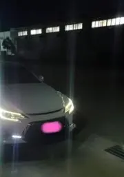 ライチ様