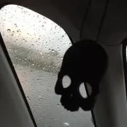 Yuuuの画像