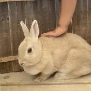 PON❤︎週末セール開催中の画像
