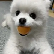 ジャック! ！！の画像