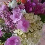 flora1005の画像